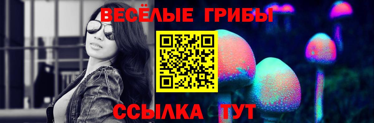 Галлюциногенные грибы мухоморы Городец