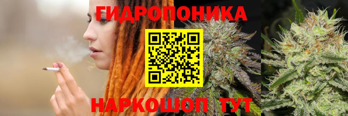 Конопля Ganja Городец